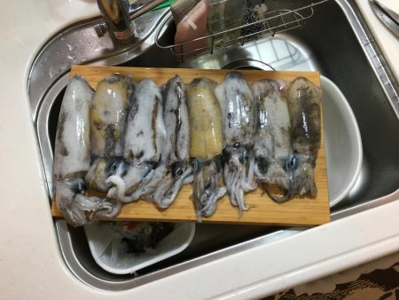 ボートジギング・エギング